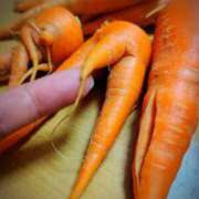 ヒメ日記 2026/04/22 06:30 投稿 朝霞 BBW錦糸町店