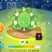 ヒメ日記 2025/03/19 13:21 投稿 森本クルミ ビギナーズエステ ROOMiE＋（ルーミープラス）