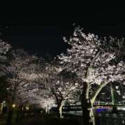 ヒメ日記 2025/04/05 10:26 投稿 森本クルミ ビギナーズエステ ROOMiE＋（ルーミープラス）