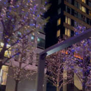 ヒメ日記 2025/04/15 15:57 投稿 森本クルミ ビギナーズエステ ROOMiE＋（ルーミープラス）