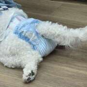 ヒメ日記 2025/05/01 18:45 投稿 森本クルミ ビギナーズエステ ROOMiE＋（ルーミープラス）