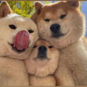 ヒメ日記 2025/06/23 01:27 投稿 森本クルミ ビギナーズエステ ROOMiE＋（ルーミープラス）