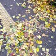 ヒメ日記 2025/11/28 17:16 投稿 レイコ マテリアル