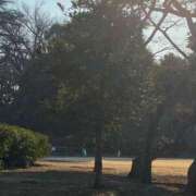 ヒメ日記 2026/02/06 17:31 投稿 レイコ マテリアル