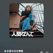 レイコ 湿 マテリアル