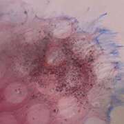 レイコ 道のり マテリアル