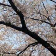 ヒメ日記 2026/04/08 21:16 投稿 レイコ マテリアル