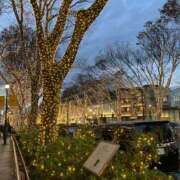 ヒメ日記 2024/12/21 16:42 投稿 大島未聖 プレジデントハウス