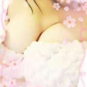 ヒメ日記 2025/05/01 14:16 投稿 れん 待ちナビ