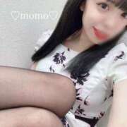 ヒメ日記 2025/02/15 19:11 投稿 もも 白いぽっちゃりさん錦糸町店