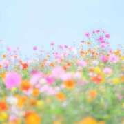 ヒメ日記 2025/03/11 19:18 投稿 もも 白いぽっちゃりさん錦糸町店