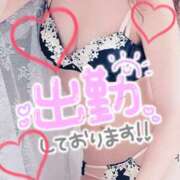 ヒメ日記 2025/02/22 20:07 投稿 紅(べに) 麗しい人妻 新宿本店