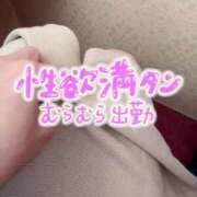 ヒメ日記 2025/03/15 16:15 投稿 紅(べに) 麗しい人妻 新宿本店