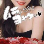 ヒメ日記 2025/05/20 21:19 投稿 紅(べに) 麗しい人妻 新宿本店