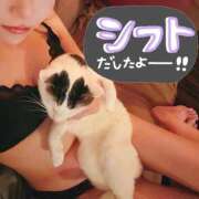 ヒメ日記 2025/10/13 23:39 投稿 紅(べに) 麗しい人妻 新宿本店