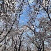 ヒメ日記 2025/04/06 22:58 投稿 香織(かおり) PLUS十三店