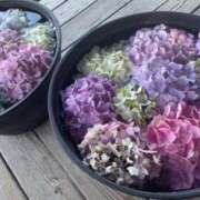 ヒメ日記 2025/06/05 21:48 投稿 香織(かおり) PLUS十三店