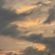 ヒメ日記 2025/08/15 21:39 投稿 香織(かおり) PLUS十三店