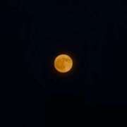 ヒメ日記 2025/09/07 19:48 投稿 香織(かおり) PLUS十三店