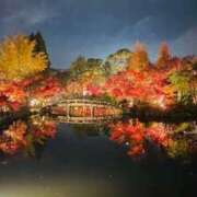 香織(かおり) ライトアップに…🍁✨ PLUS十三店