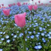 ヒメ日記 2025/04/21 11:33 投稿 手越(てごし) 八王子人妻城