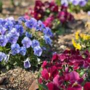 ヒメ日記 2026/03/04 16:12 投稿 手越(てごし) 八王子人妻城