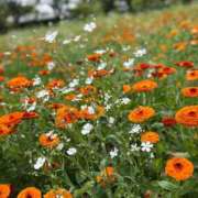 手越(てごし) [お題]from:カンタさん 八王子人妻城