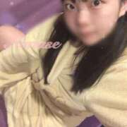 ヒメ日記 2025/04/18 09:52 投稿 ナナセ ドMなバニーちゃん大宮店