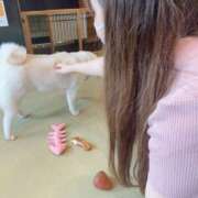 ヒメ日記 2026/04/19 09:04 投稿 ナナセ ドMなバニーちゃん大宮店