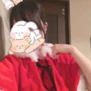 葉山 美音 🎅⭐️ 超LEXUS