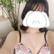 葉山 美音 💡 超LEXUS