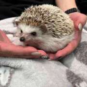 ヒメ日記 2024/12/27 13:33 投稿 きょうか 奥様の実話 谷九店