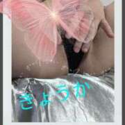 ヒメ日記 2024/12/29 13:28 投稿 きょうか 奥様の実話 谷九店