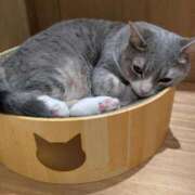 ヒメ日記 2025/06/15 13:37 投稿 きょうか 奥様の実話 谷九店