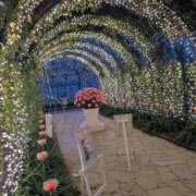 ヒメ日記 2025/11/20 13:34 投稿 きょうか 奥様の実話 谷九店