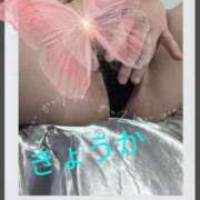 ヒメ日記 2025/12/29 13:35 投稿 きょうか 奥様の実話 谷九店