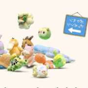 ヒメ日記 2025/02/27 11:52 投稿 つぼみ 札幌しこたまクリニック