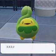 つぼみ お休みします🥲‎ 札幌しこたまクリニック