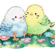 ヒメ日記 2025/02/04 15:36 投稿 みき YESグループ TSUBAKI FIRST