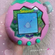 ヒメ日記 2025/12/26 22:07 投稿 みき YESグループ TSUBAKI FIRST