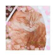 らんこ 動物って。 One More 奥様　錦糸町店