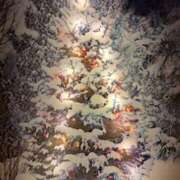 ヒメ日記 2025/12/15 08:48 投稿 岡田(おかだ)奥様【VIP】 金沢の20代30代40代50代が集う人妻倶楽部