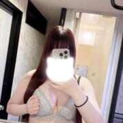 ヒメ日記 2026/02/18 15:59 投稿 りんか 新宿プチドール