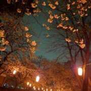 ヒメ日記 2026/04/02 19:31 投稿 れな ぽちゃ・巨乳専門店　太田足利ちゃんこ