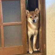 ヒメ日記 2025/03/10 18:34 投稿 ゆあ クラスメイト