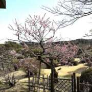 ヒメ日記 2025/03/10 11:15 投稿 まどか 池袋で熟女の風俗 マダムいやーん