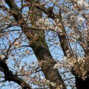 ヒメ日記 2025/03/27 15:39 投稿 まどか 池袋で熟女の風俗 マダムいやーん