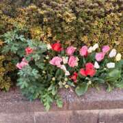 ヒメ日記 2025/04/18 10:31 投稿 まどか 池袋で熟女の風俗 マダムいやーん