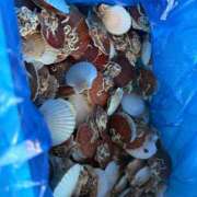 ヒメ日記 2025/04/22 12:25 投稿 まどか 池袋で熟女の風俗 マダムいやーん