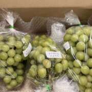 ヒメ日記 2025/09/22 07:17 投稿 まどか 池袋で熟女の風俗 マダムいやーん